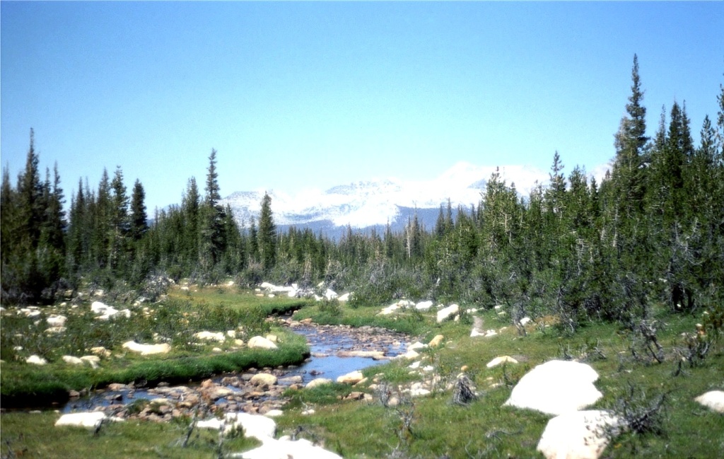 Inviting water in Yosemite's high country.