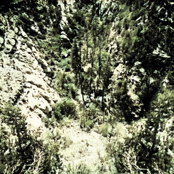 Into Walnut Canyon