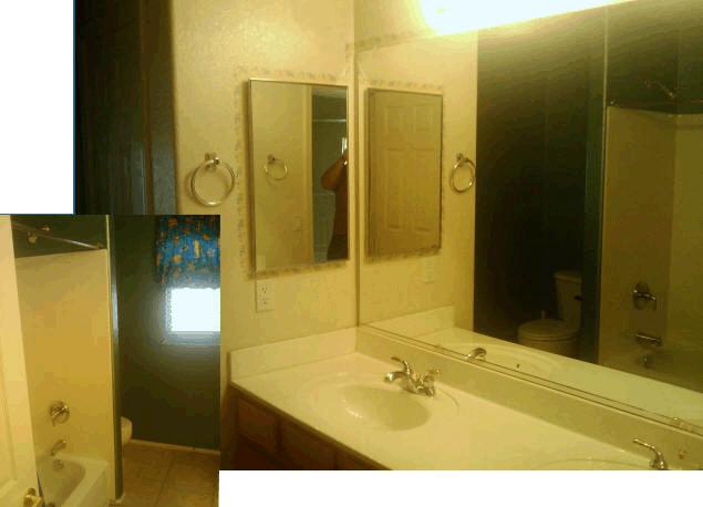 Upstairs Bathroom (August)