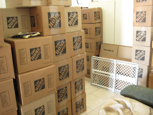 Boxes replace pet gates.