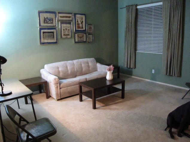 The living room, with end and coffee tables.