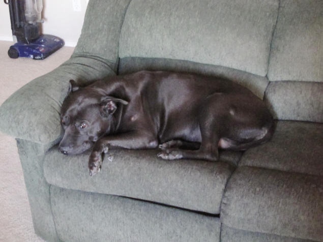 Amber in the love seat.