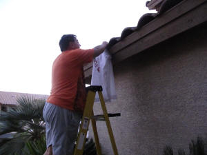 Michael hanging the decorations.