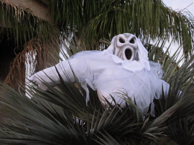 A howling ghost.