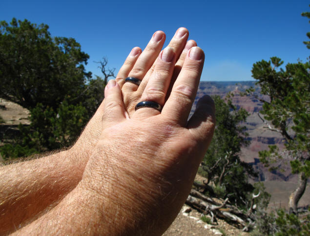 Our rings.