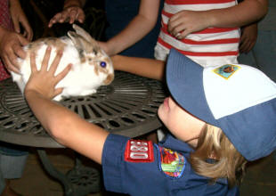 The bunnies were major favorites.