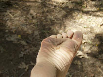How many roads must a boy walk down to get his feet this black?