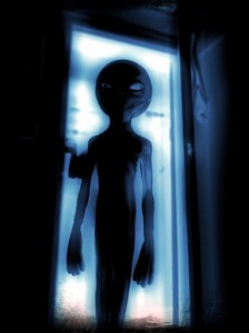 Night visitor