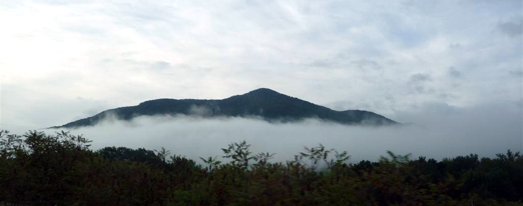 Fog in Vermont