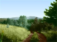 The Long Driveway