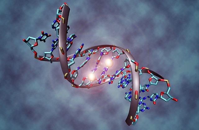 Genetics