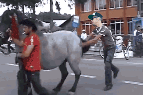 Kicked by a horse