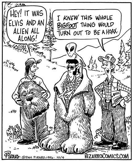 Hoaxes and illusions