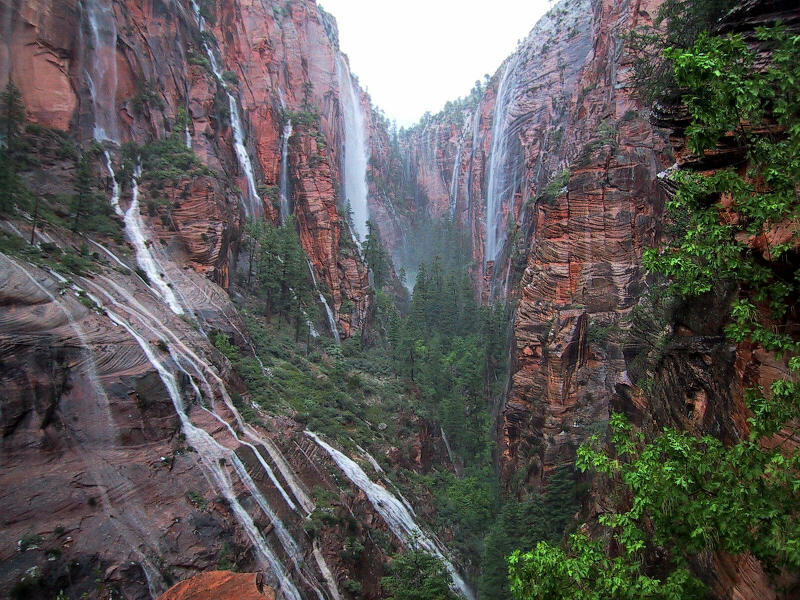 Flash Flood