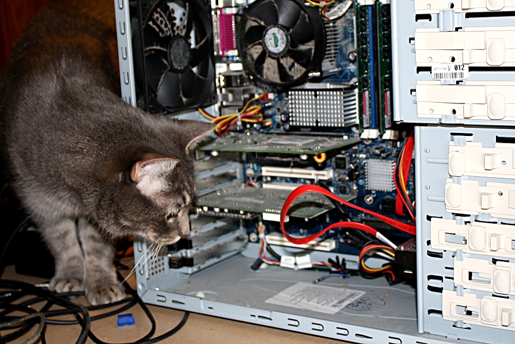 What's inside YOUR desktop?