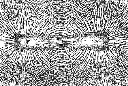Iron filings follow magnetic lines of force.