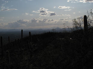 Underexposed for the sky.