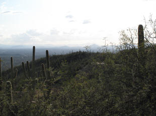 Overexposed for the canyon.