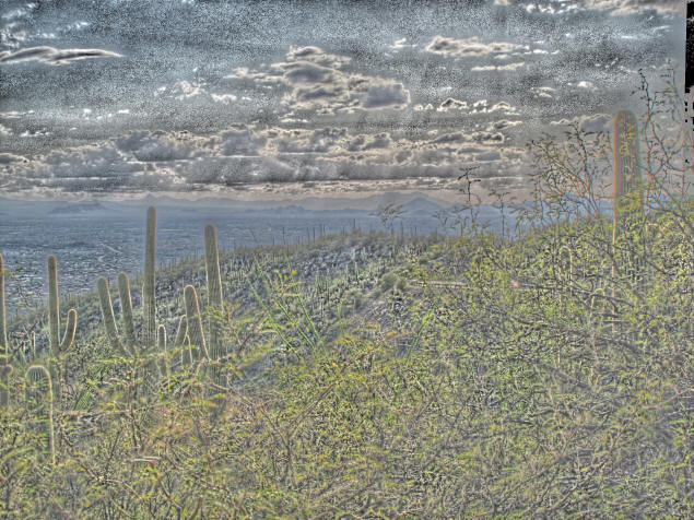 The Fattal HDR algorithm.