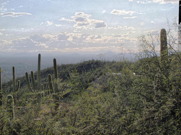 Combined Reinhard-Fattal HDR