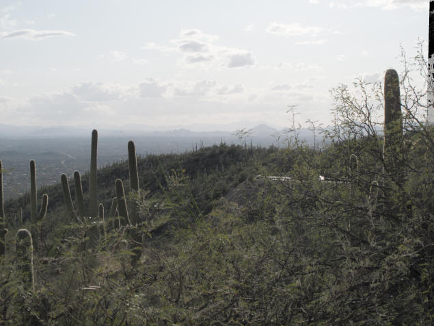 Reinhard '05 HDR algorithm.