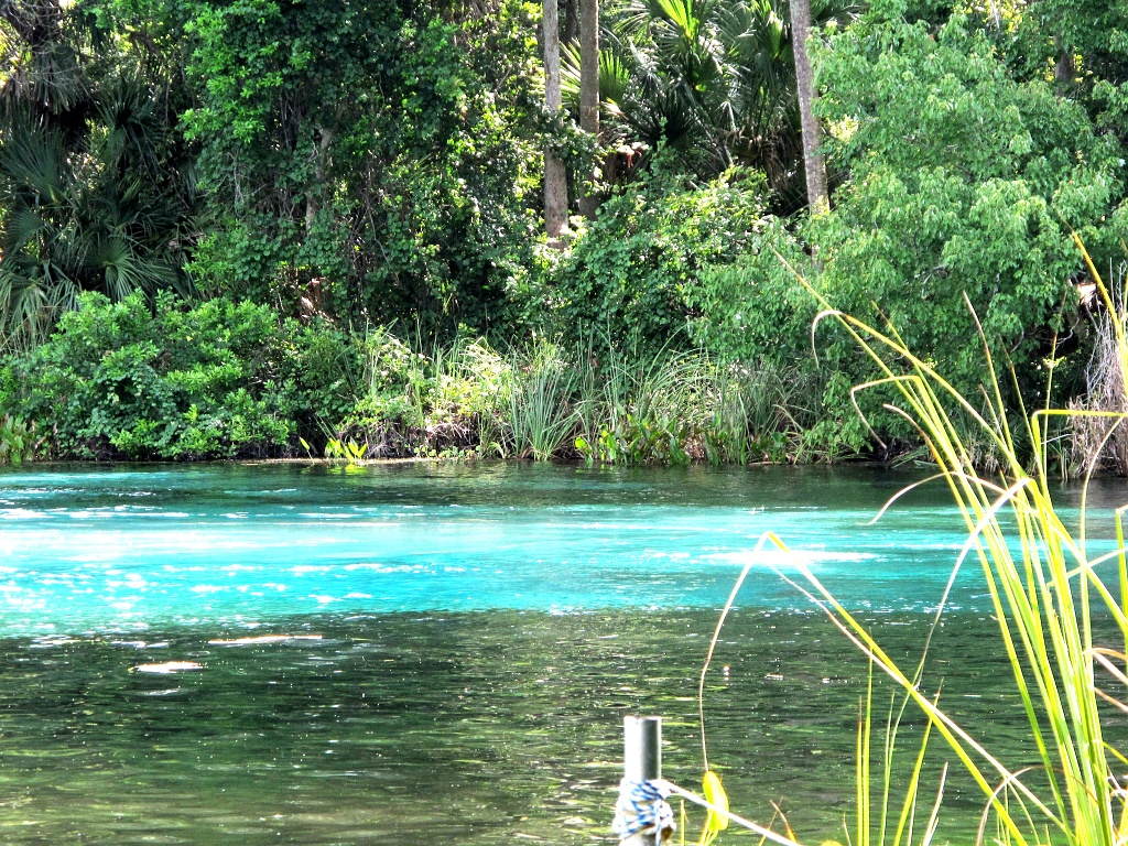 The Alexander Springs boil.