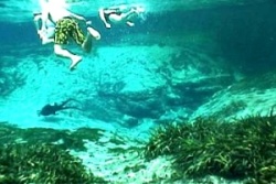 The Alexander Springs boil.