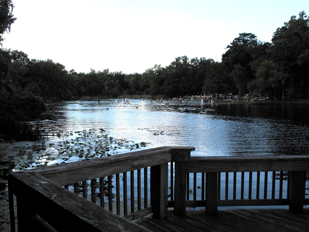The swimming area at Alexander Springs.