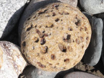 Nizina River rock.