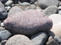 Nizina River rock.
