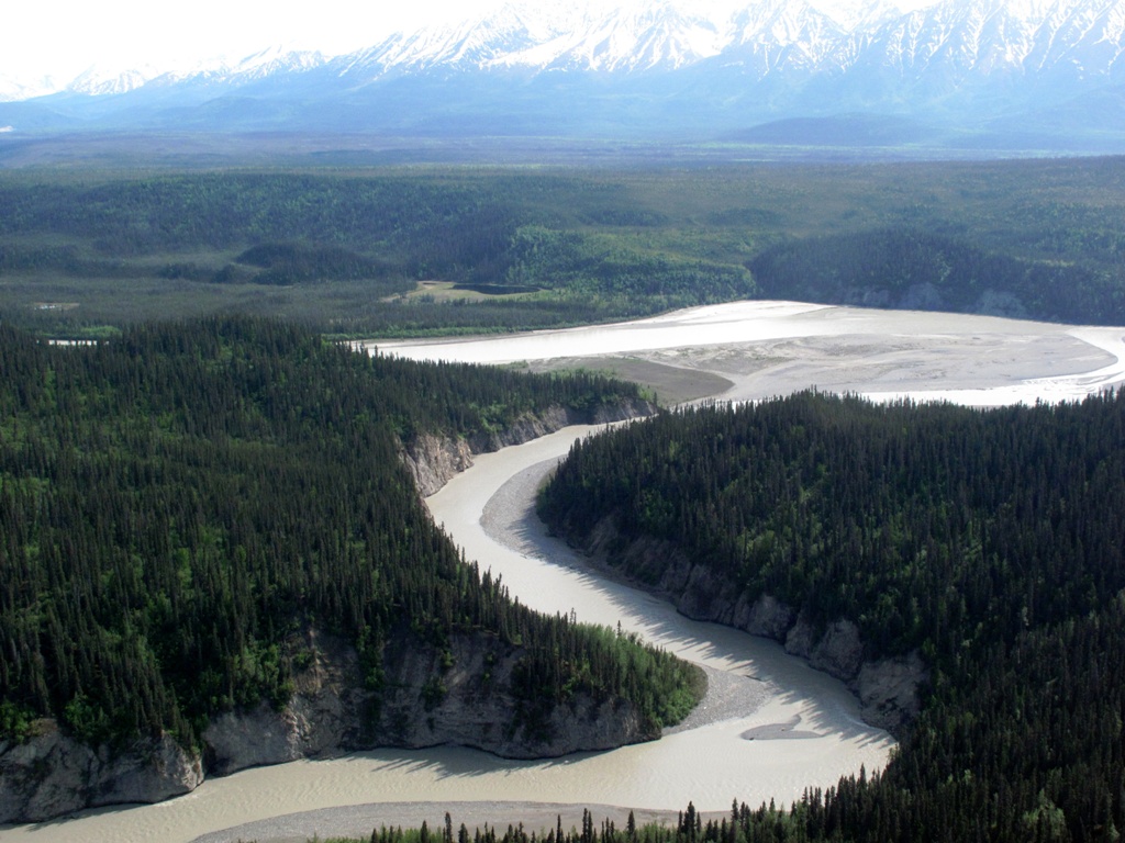 The mountains north of McCarthy.
