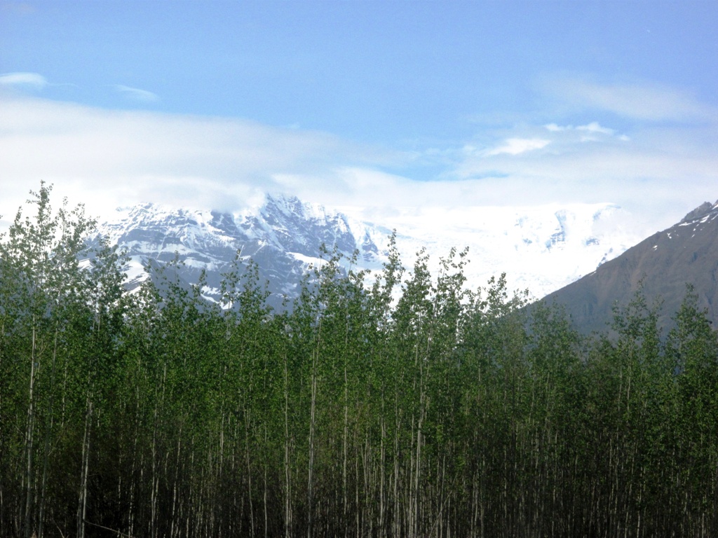 View from McCarthy Air Field, Alaska.