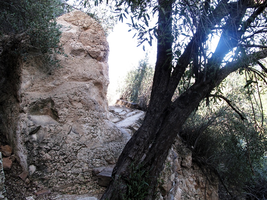 A section of the High Trail.