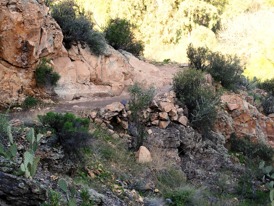 The trail in shade.