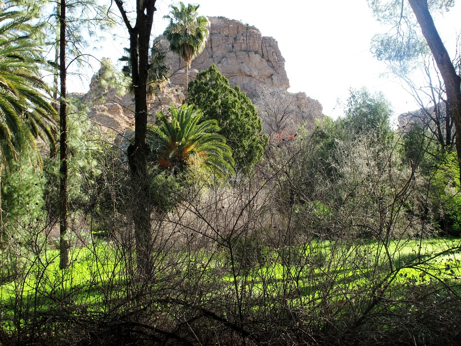 The park area.
