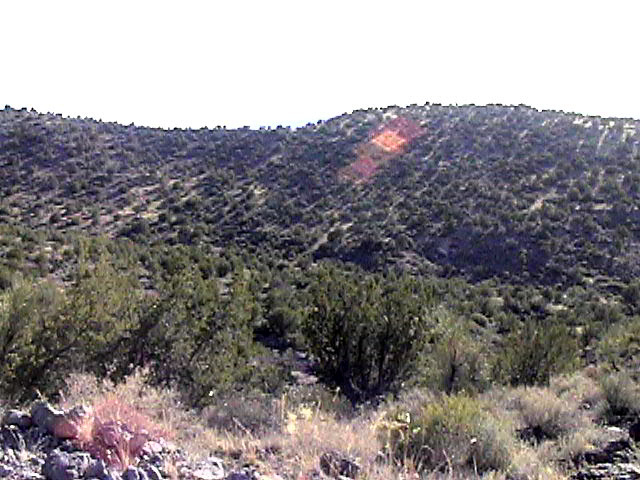Junipers and Pi&ntilde;ons pair in Fossil Springs Wilderness