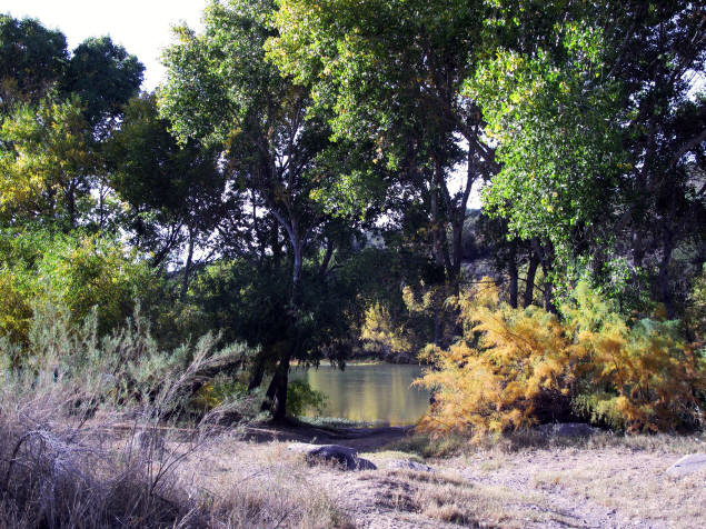 Verde River reflecting fall colors.