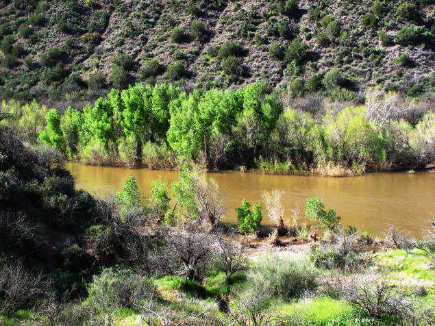 The Verde River runs through this wilderness.