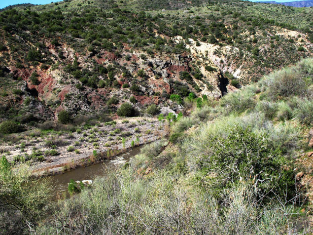Deep green junipers dot the hillside above the river.