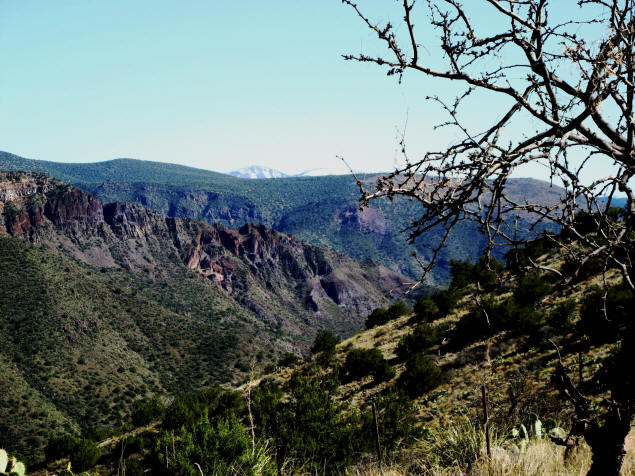 Snow-covered peaks from Childs Power Road.
