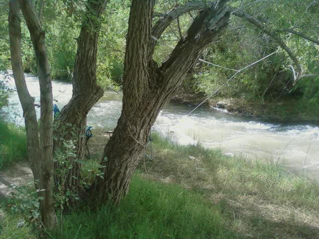 The Verde River, narrowed, rushing past our campground.