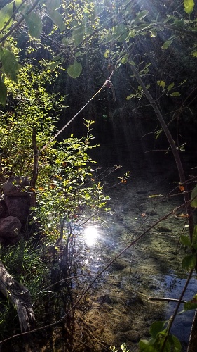 Fossil Creek