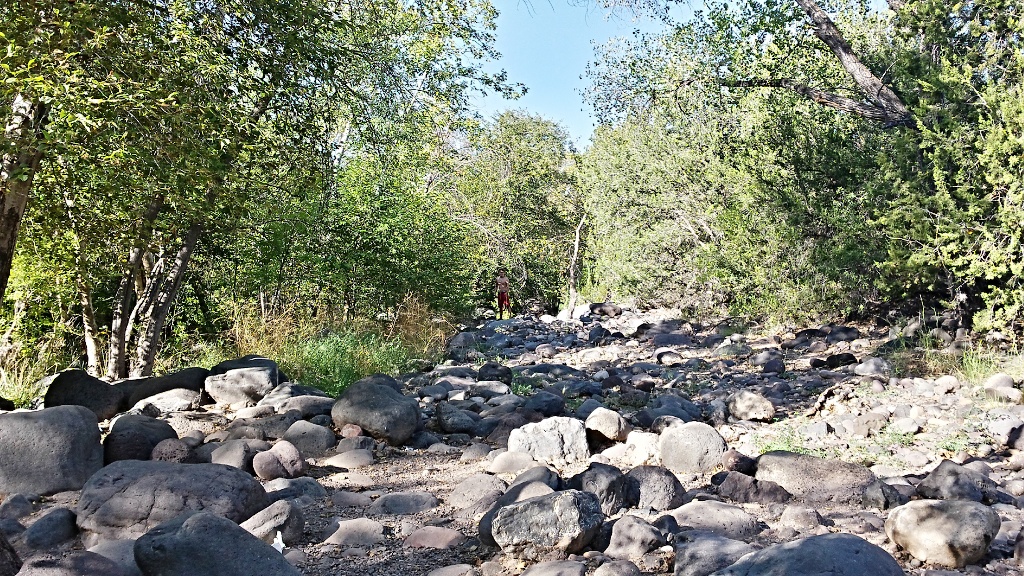 Fossil Springs Wilderness
