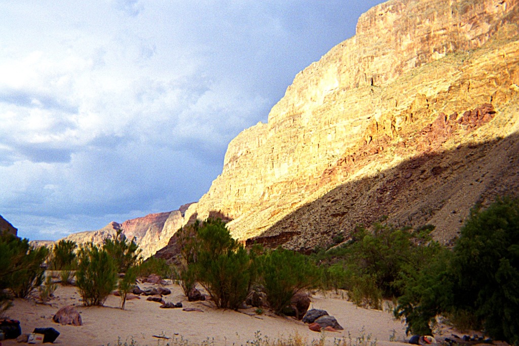 Mile 202 Beach