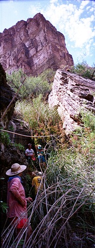 The Mormon's spring