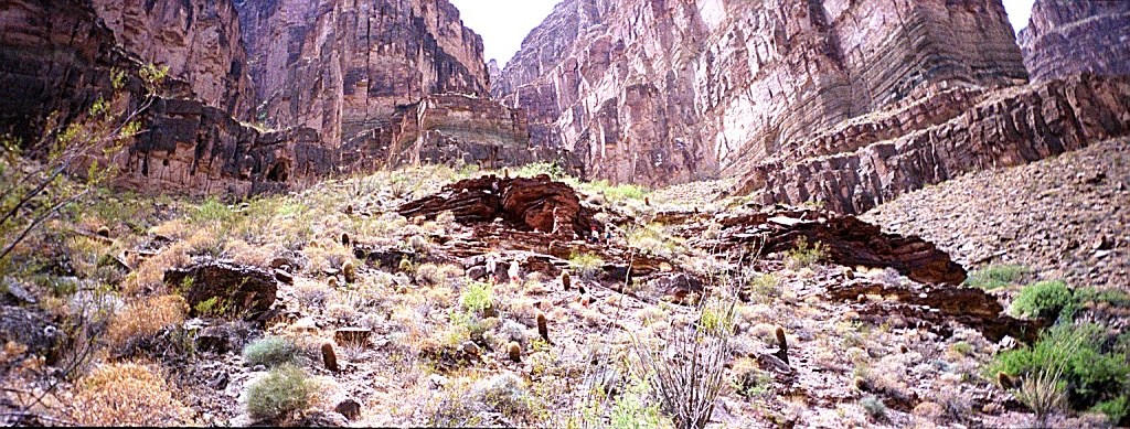 A cabin on the hillside.