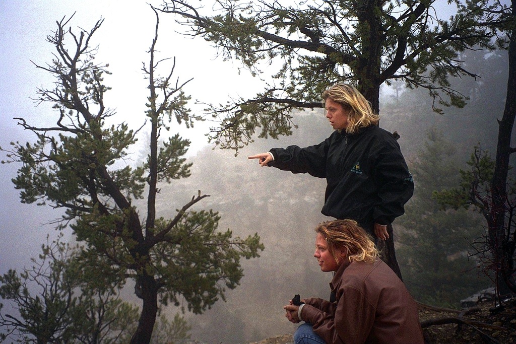 The fog began to clear.