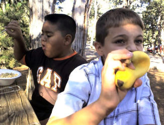 Cereal, bananas, and milk, plus orange juice. What more could a kid want?