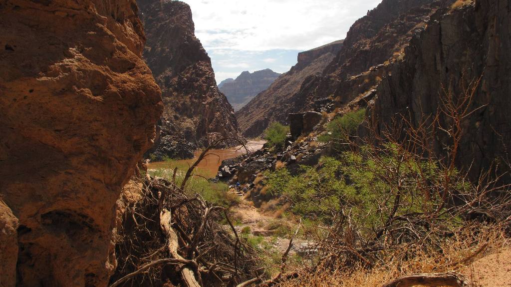 The Colorado River in Grand Canyon.