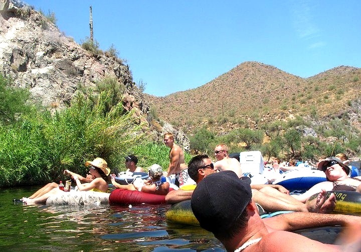 Young stallions on the river.